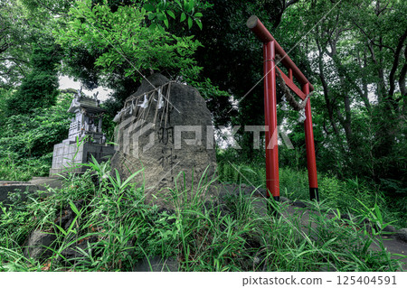 Moriyama Shrine in Hayama, in harmony with nature Moriyama Shrine in Hayama, in harmony with nature 125404591