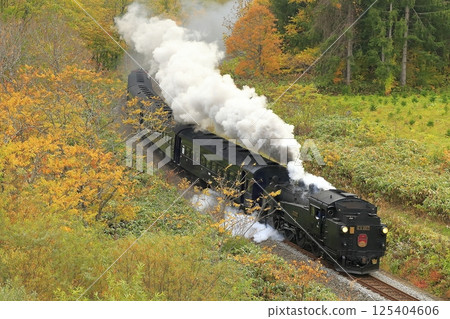 函館秋葉線 函館秋葉線 125404606