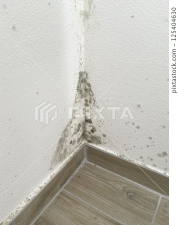 Mold and fungus problem in corner of room. Humidity in apartment. Health and cleaning. 125404630