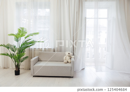 Green plant and gray sofa in the interior of a white room with a window 125404684