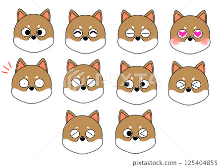 Shiba Inu front facial expression Shiba Inu front facial expression 125404855