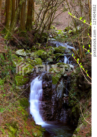 Fudo Falls (Mitsue Village, Uda District, Nara Prefecture) Fudo Falls (Mitsue Village, Uda District, Nara Prefecture) 125404882
