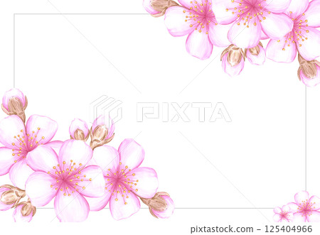Hand drawn watercolor cherry blossom branch frame border. Illustration of flowers isolated on white background. Can be used for business card, scrapbook and other printed products. 125404966