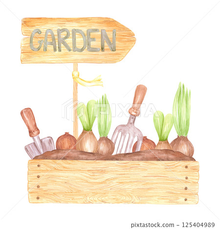 Hand drawn watercolor flower bulbs with green leaves in box with garden tools isolated on white background. Can be used for postcard, label, scrapbook and other printed products. Hand drawn watercolor flower bulbs with green leaves in box with garden tools isolated on white background. Can be used for postcard, label, scrapbook and other printed products. 125404989