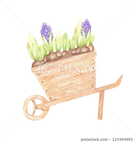 Hand drawn watercolor wooden flower cart with blooming hyacinth isolated on white background. Can be used for postcard, label, scrapbook and other printed products. 125404993