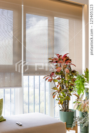 Sunscreen blinds in a ceiling recess. Sunscreen blinds in a ceiling recess. 125405123