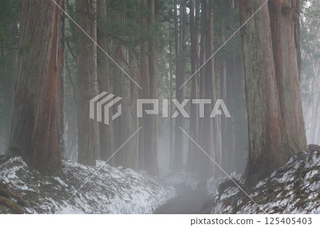 The misty approach to the inner shrine of Togakushi Shrine 125405403