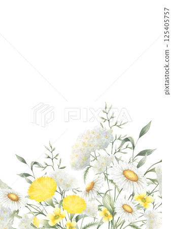 Postcard of watercolor wildflowers chamomile, dandelion, buttercup, yarrow and meadow grasses isolated floral illustration with copy space, A4. Hand drawn yellow and white flowers for invitations. 125405757