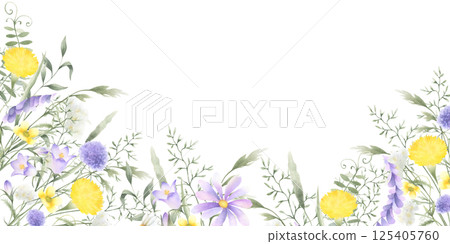 Wildflowers dandelion, bellflower, buttercup, mouse pea and meadow grasses. Hand drawn isolated watercolor rectangular horizontal frame illustration of yellow lilac flowers with copy space, banner. Wildflowers dandelion, bellflower, buttercup, mouse pea and meadow grasses. Hand drawn isolated watercolor rectangular horizontal frame illustration of yellow lilac flowers with copy space, banner. 125405760