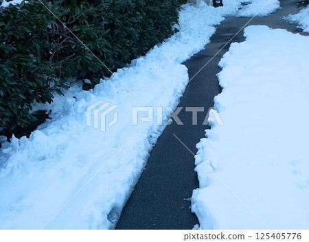 雪道 125405776
