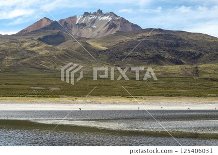 Tunupa Volcano and Flamingos by Salar de Uyuni 125406031