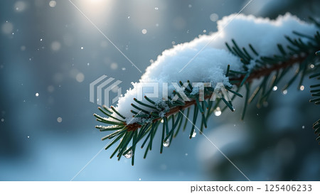Evergreen Branch Adorned with Fresh Fallen Snow Evergreen Branch Adorned with Fresh Fallen Snow 125406233