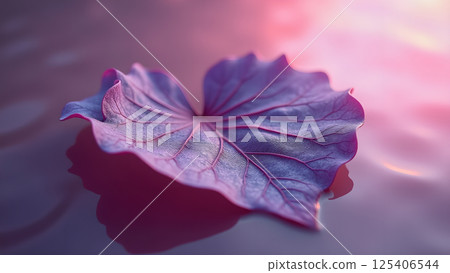 Solitary leaf, floating in dreamy light space 125406544