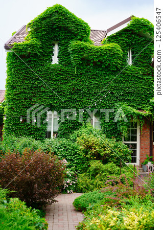a house and a courtyard of a country house, braided with greenery. 125406547
