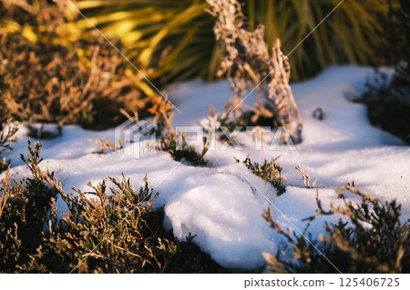 [六甲花園露台] 冬季仍有積雪 125406725