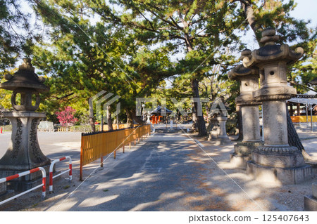 [住吉大社] 大阪市歷史悠久的神社 125407643
