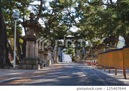 [Sumiyoshi Taisha] A historic shrine in Osaka city 125407644