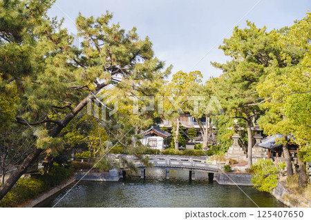 [住吉大社] 大阪市歷史悠久的神社 125407650