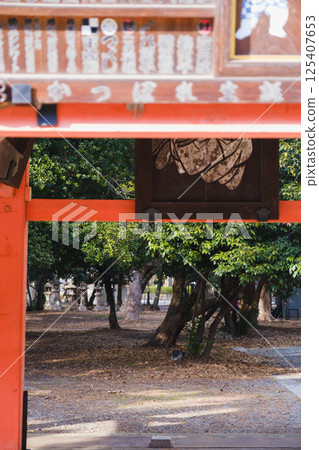 [Sumiyoshi Taisha] A historic shrine in Osaka city 125407653
