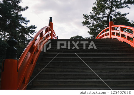 [Sumiyoshi Taisha] A historic shrine in Osaka city 125407658