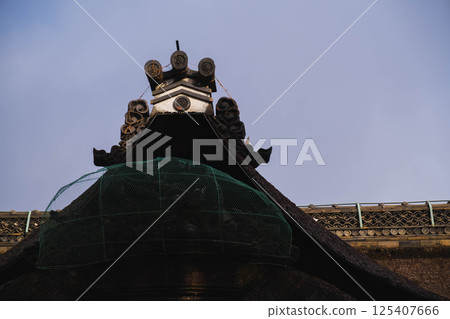 [住吉大社] 大阪市歷史悠久的神社 125407666