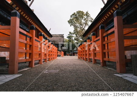 [住吉大社] 大阪市歷史悠久的神社 125407667