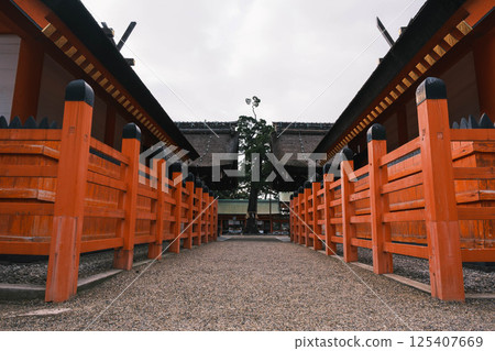 [Sumiyoshi Taisha] A historic shrine in Osaka city 125407669