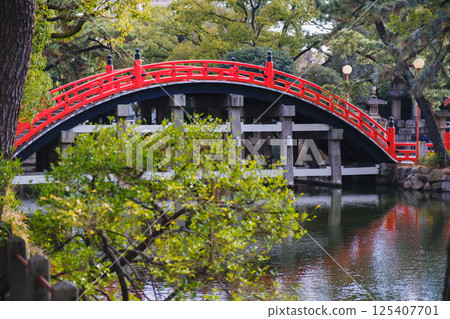[Sumiyoshi Taisha] A historic shrine in Osaka city 125407701