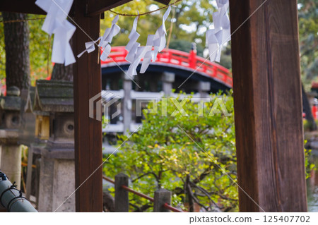 [住吉大社] 大阪市歷史悠久的神社 125407702