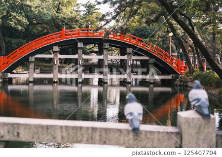 [住吉大社] 大阪市歷史悠久的神社 125407704