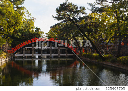 [住吉大社] 大阪市歷史悠久的神社 125407705