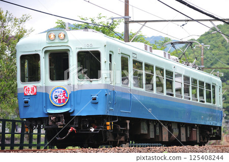 伊豆急行 稻草連台寺 伊豆急100系103號列車 伊豆急歌唱列車 伊豆急行 稻草連台寺 伊豆急100系103號列車 伊豆急歌唱列車 125408244