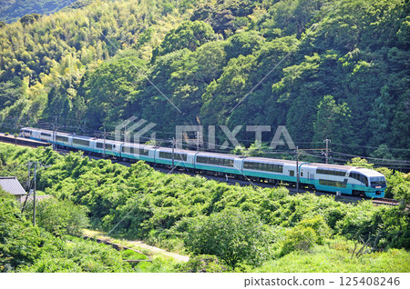 伊豆急行線 稻草河津 JR 東日本 251 系列 RE 編組（大宮） Super View Odoriko 125408246