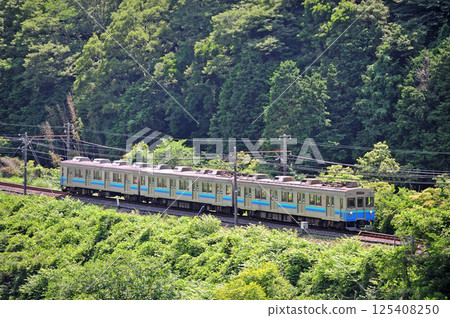 Izukyu Line Inazusa-Kawazu Izukyu 8000 series TB6 formation 125408250