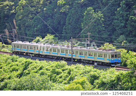 伊豆急行 稻津河津 伊豆急 8000 系列 TB4 編組 125408251