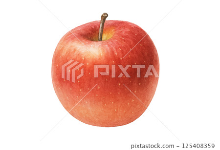 蘋果插圖水彩白色背景 125408359