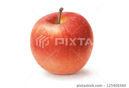 蘋果插圖水彩白色背景 蘋果插圖水彩白色背景 125408360