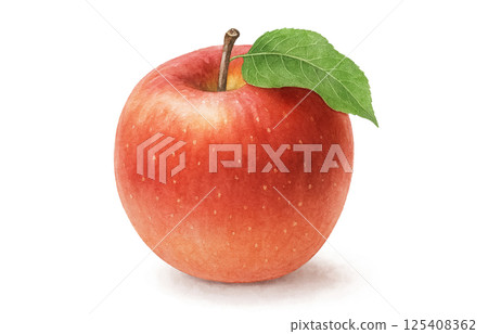 Apple illustration watercolor white background Apple illustration watercolor white background 125408362