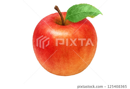 Apple illustration watercolor white background Apple illustration watercolor white background 125408365