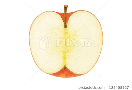 Apple illustration watercolor white background 125408367