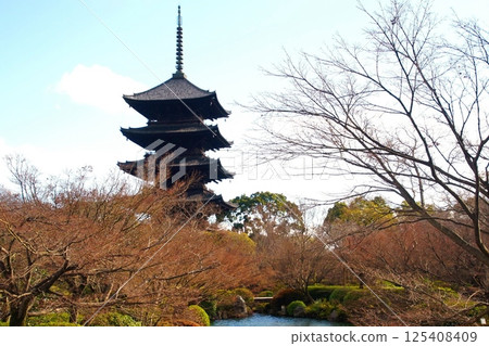 京都府東寺/五層塔(國寶)京都市南區九條町 2022 年 2 月 京都府東寺/五層塔(國寶)京都市南區九條町 2022 年 2 月 125408409