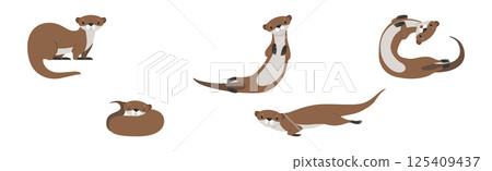 Sea Otter as Marine Mammal and Aquatic Creature with Brown Coat Vector Set Sea Otter as Marine Mammal and Aquatic Creature with Brown Coat Vector Set 125409437