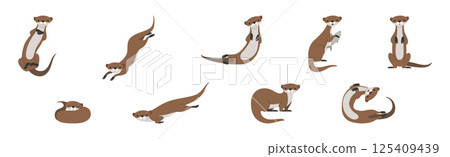 Sea Otter as Marine Mammal and Aquatic Creature with Brown Coat Vector Set 125409439