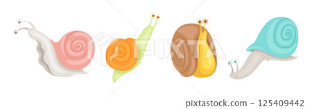 Snail Funny Character with Spiral Shell Vector Set 125409442
