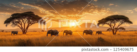 Dense, vibrant greenery and towering trees characterize this lush African rainforest, capturing nature beauty and biodiversity, banner 125409675