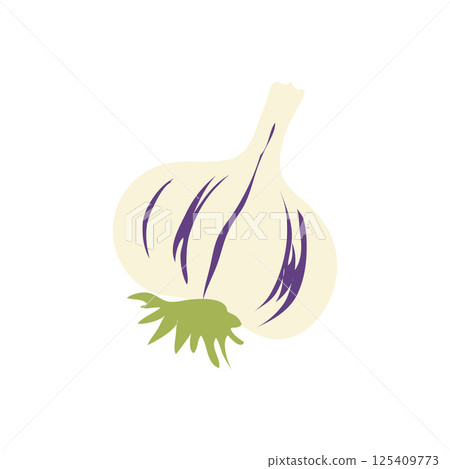 Garlic bulb in flat design. Condiment and spice, vegetarian food product. Vector illustration isolated. 125409773