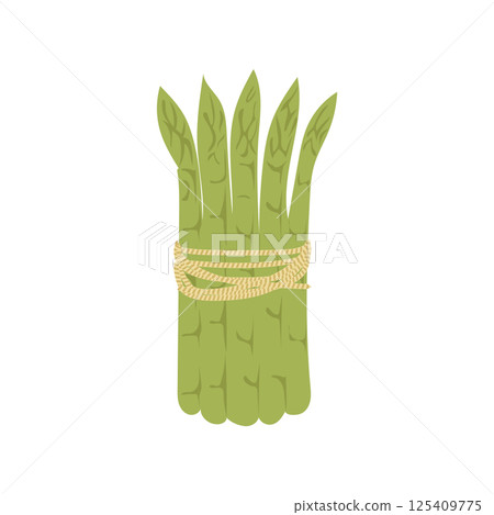 Green asparagus bunch in flat design. Seasoning vegetarian food product. Vector illustration isolated. 125409775