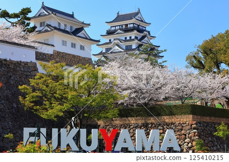 [廣島縣] 春天的櫻花盛開的福山城（重建後）福山城櫻花節 125410215
