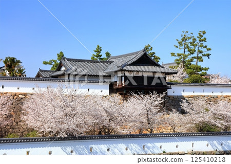 [廣島縣] 春天的櫻花盛開的福山城（重建後）福山城櫻花節 125410218