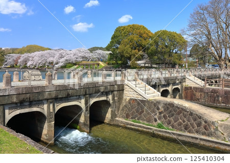 【岡山縣】坂津公園(高梁川東西取水設施)春季櫻花盛開 【岡山縣】坂津公園(高梁川東西取水設施)春季櫻花盛開 125410304